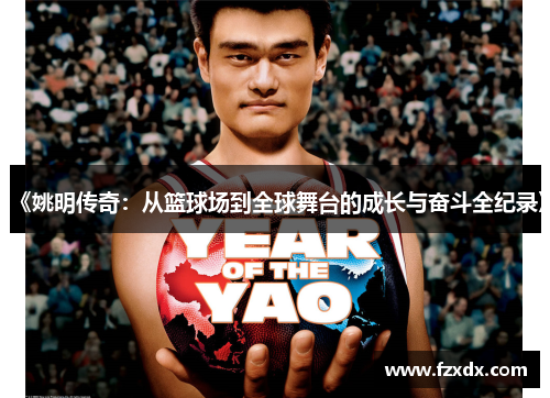 《姚明传奇：从篮球场到全球舞台的成长与奋斗全纪录》