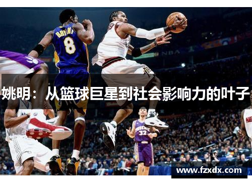 姚明：从篮球巨星到社会影响力的叶子