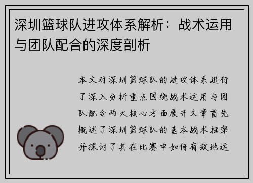 深圳篮球队进攻体系解析：战术运用与团队配合的深度剖析